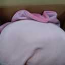 Squishmallows Original 14in Lex Lex The Pastel Pink Banana Official Jazwares Plush (Large)