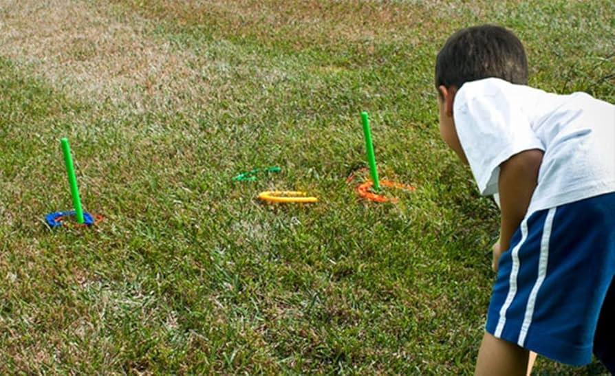 Plastic Horseshoe Game