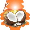 Little Trees Hanging Car and Home Air Freshener, Coconut Scent - 3 Pack