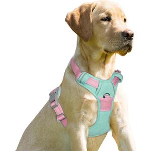 BARKBAY No Pull Dog Harness Front Clip Heavy Duty Reflective Easy Control Handle for Large Dog Walking(Cool Mint & Baby Pink,S) (Small(Chest:19.5-26"))