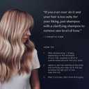 Kristin Ess Hair Purple Shampoo and Conditioner Set for Blonde, Brunette, Silver + Gray Hair, Anti Brass + Yellow Tones, Safe for Color Treated Hair, Sulfate Free Toning Shampoo Conditioner
