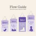 Lansinoh Anti-Colic Baby Bottles for Breastfeeding Babies, 8 Ounces, 3 Count, Includes 3 Medium Flow Nipples, Size M