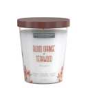 VELA 9 OZ ESSENTIAL ELEMENTS BLOOD ORANGE & TEAKWOOD CANDLE LITE