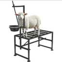 Goat Stand with Feed Bin for Milking, 600LBs Goat Trimming Stand, Livestock Table for Sheep Trimming Hoof and Milking, Iron Black, Adjustable Size