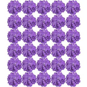 FagusHome Silk Hydrangea Heads 30 Pcs Artificial Flowers Only Heads No Stems Fake Hydrangea Flowers for Home Wedding Decor No Stems (Purple)