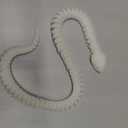 Toy Snake