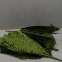 35" Ferns Artificial Bush Plants Large, 2 Artificial Boston Ferns with 39 Fronds for Outdoors Home Decor
