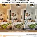 Ceiling Fans with Lights, 24 inch Remote Control Ceiling Fan, Flush Mount Low Profile Ceiling Fan Light, Large Airflow 5 Blades 6 Wind Speed Quiet Reversible 3 Color Temperatures Black