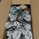 ININ 2FT Pre-lit Mini Christmas Snow Flocked Tree,Tabletop Artificial Christmas Tree with LED Lights, Small Xmas Pine Tree with Cloth Bag Base for Christmas Decor,12 Clusters Berry & 8 Pinecones