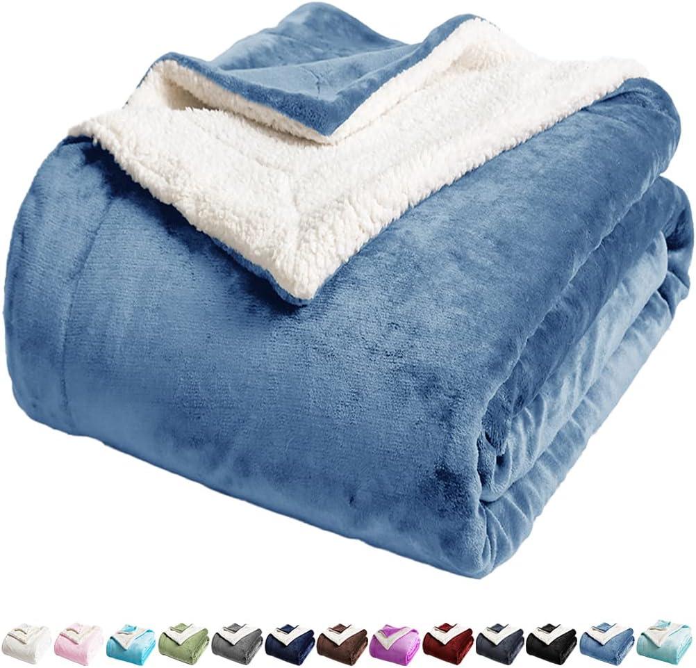 LBRO2M Sherpa Fleece Bed Blanket Queen Size,Super Soft Fuzzy Plush Warm Cozy Fluffy Microfiber Couch Throw Velvet Double Reversible Luxurious Blankets (Light Blue, Queen(90x90 Inches))