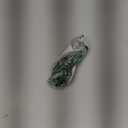 (1 Pack) Brass 3/4 PEX to 3/4 Hose Barb Connector Fitting, Lead-Free Adapter Heavy-Duty High-Pressure Support, Rust and Corrosion Resistant