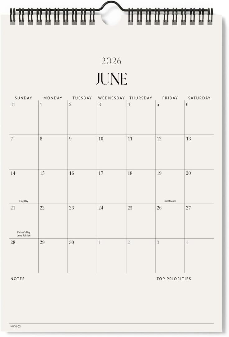 Jotsome Wall Calendar 2026, Monthly Wall Calendar From Now to December 2026 11x8.5 inch for Home and Office, Easy Planning, Gift for the Holidays