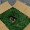 Christmas Garland of Artificial Norfolk Pine 2 Pcs 6 FT Christmas Decorations Indoor of Real Touch Garland with Bells Green Greenery Garland for Table Mantle Wall Stairs Home Outdoor Green