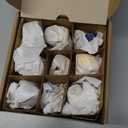 Bluey Super Fan Figurines for Toddlers Set, 11 Character Pack with Exclusive Figures, Toddler Figurine Toys Includes Bluey, Bingo & More, Ages 3+