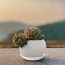 Round Plastic Plant Saucers Set, 6-Pack, 7.6 Inches (6.4 Inch Base) Pot Drip Trays, Ideal for Indoor and Outdoor Home Garden Flower Pot Containers. (White)