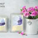 MIMOSA MOMENTS Brass Metal Floating Picture Frame Wire Easel (Brass, 5X7)