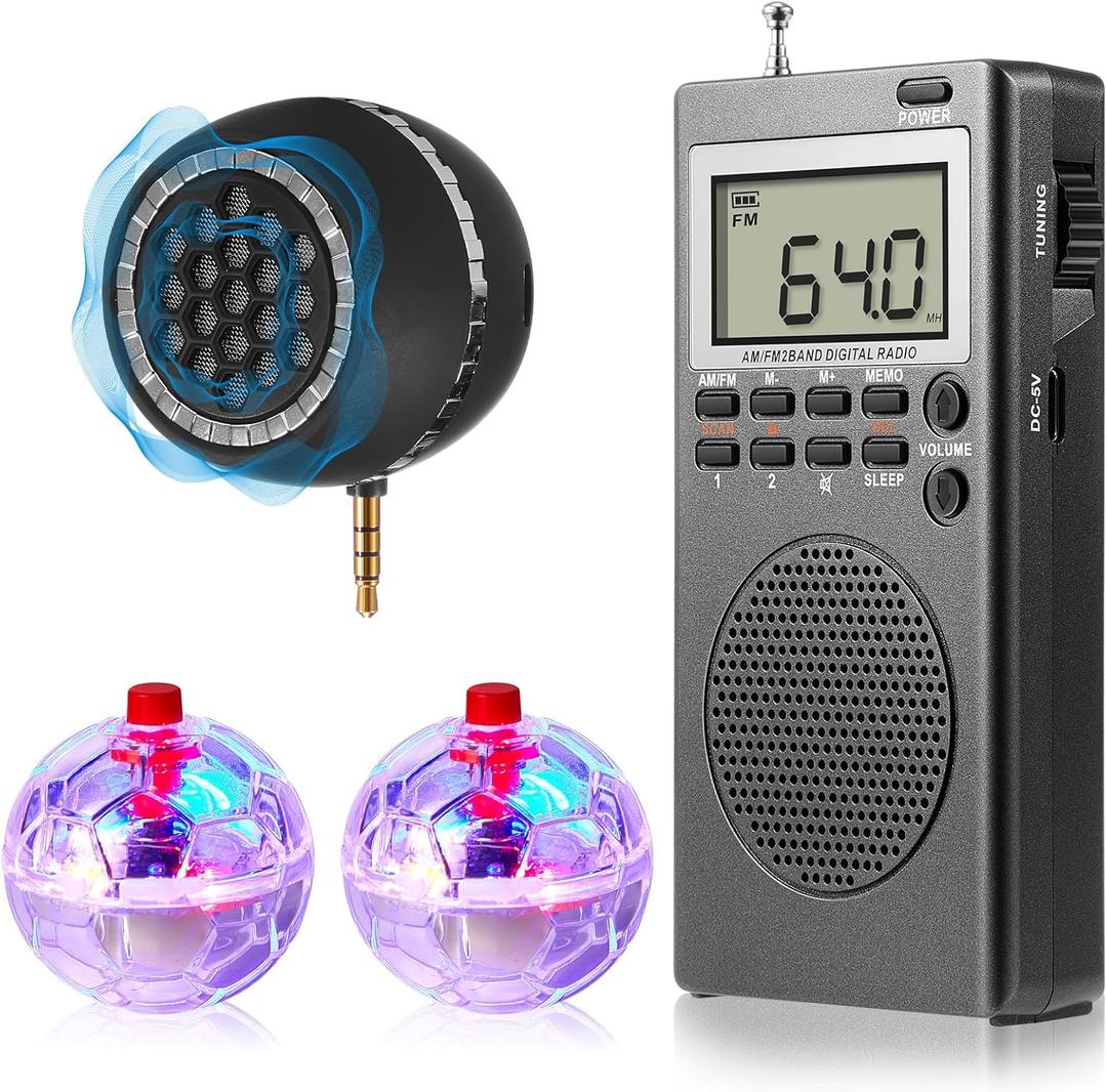 Dunzy 4 Pcs Ghost Hunting Equipment Kit Ghost Hunting Box with 2 LED Cat Ball 1 Radio Paranormal Equipment Kit for Home Office Outdoor(Classic)