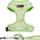 Dog Harness and Leash Set, Adjustable Dog Harness, Dog Leash, No Pull No Choke Puppy Harnesses for Walking Training for Small Medium Pet (XS(Chest 9.9 - 13.5", Neck 7.8 - 10.2"), Avocado)