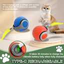 Speedy Cat Tail Toy 2.0,USB Rechargeable Smart Interactive Cat Ball,Automatic Moving Ball Toy for Indoor Cats, Replaceable Tail2PCS