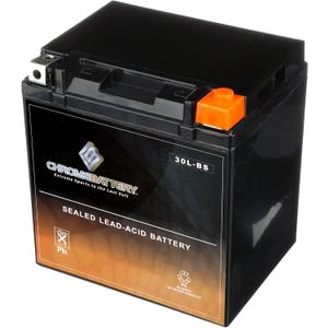 Chrome Battery YTX30L-BS Maintenance Free Replacement Battery for ATV, Motorcycle, Snowmobile, and UTV: 12 Volts, 3 Amps, 30Ah, Nut and Bolt (T3) Terminal