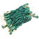 Novelty Lights RetroGlo LED Mini Lights, 50 Clear Bulbs on Green Wire, 11ft with 2.5" Spacing, Incandescent Look with Modern Efficiency, 2700K Warm White Core, Interchangeable Bulbs