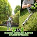 2-in-1 Cordless Hedge Trimmer, Battery Powered Pole, 21 in Steel Blade