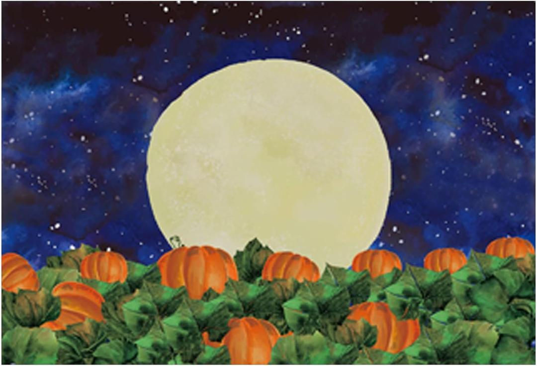 Funnytree 7x5FT Halloween Pumpkin Field Photography Backdrop for Kids Birthday Party Banner Starry Sky Night Moon Background Photo Booth