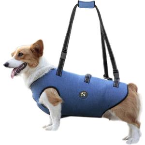 Coodeo Dog Lift Harness, Pet Support & Rehabilitation Sling Lift Adjustable Padded Breathable Straps for Old, Disabled, Joint Injuries, Arthritis, Loss of Stability Dogs Walk (Blue, M)