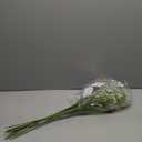 24.8-inch Artificial Baby's Breath Bulk 10PCS - Fake Gypsophila Flowers with Bendable Stems for Weddings, White Party Decorations, Home & Outdoor Floral Arrangements (White)