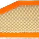 ACDelco GM Original Equipment A3211C (23437180) Air Filter