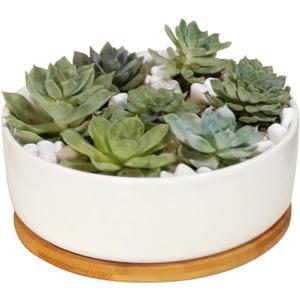 LANKER 6.3 Inch Round White Ceramic Succulent Planter Pot Decorative Cactus Plant Pot Flower Container with Bamboo Tray (Round 6.3Inch)