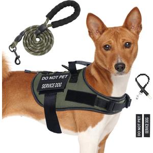 No Pull Dog Harness Small Medium Sized Dog, Service Dog Harness and Leash Set with 4 Patches, Adjustable Easy Walk Dogs Harnesses with Handle, Dogs Vest Harnesses French Bulldog, Chihuahua(Green, M)