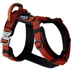 MADE TO ROAM Premium Explorer Harness - Y-Shaped Dog Harness with Adjustable Durable Nylon, Soft Padding, Metal Buckles and Leather Handle for Small, Medium, Large Dogs (Texas Flair, Size 3)