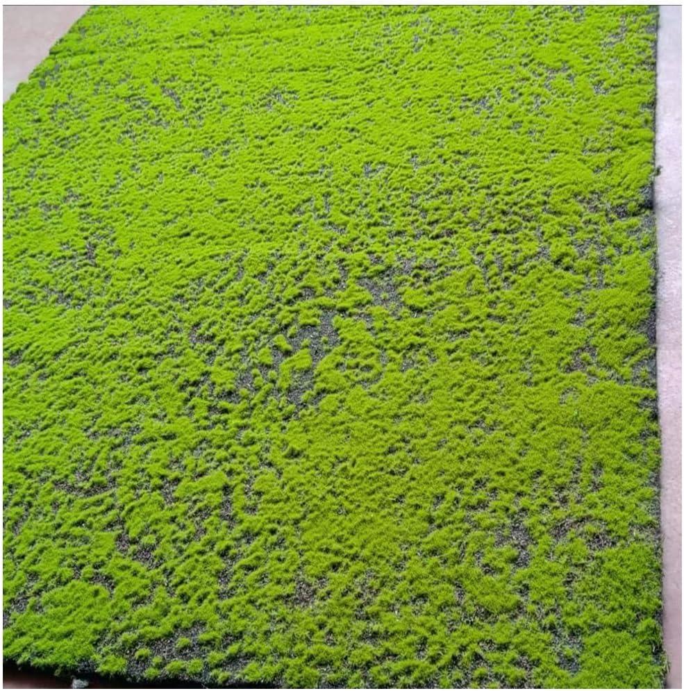 Artificial Moss For Terrarium Or Crafts