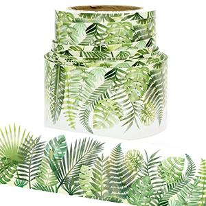 Pack of 2, Youngever 52.5 ft Bulletin Board Borders for Classroom Decoration (Tropical Theme)