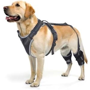 ELEGX Dog Knee Brace for Torn ACL & Hind Leg Support with Side Stabilizers– Adjustable Dog Hip & Leg Brace with Handle for Cruciate Ligament, Arthritis Relief, Joint Stability & Injury Recovery, L