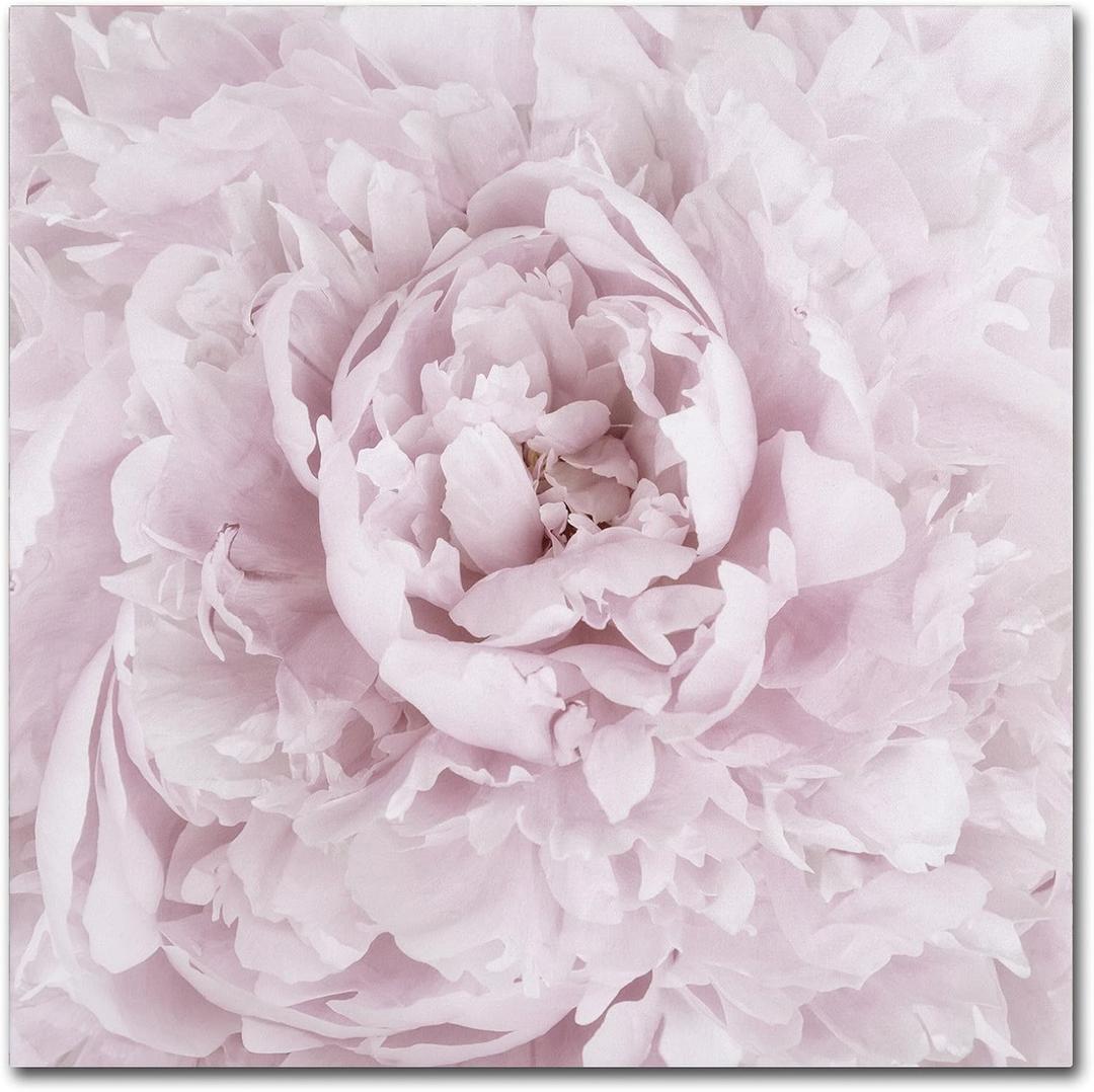 Pink Peony Flower by Cora Niele, 24x24-Inch Canvas Wall Art