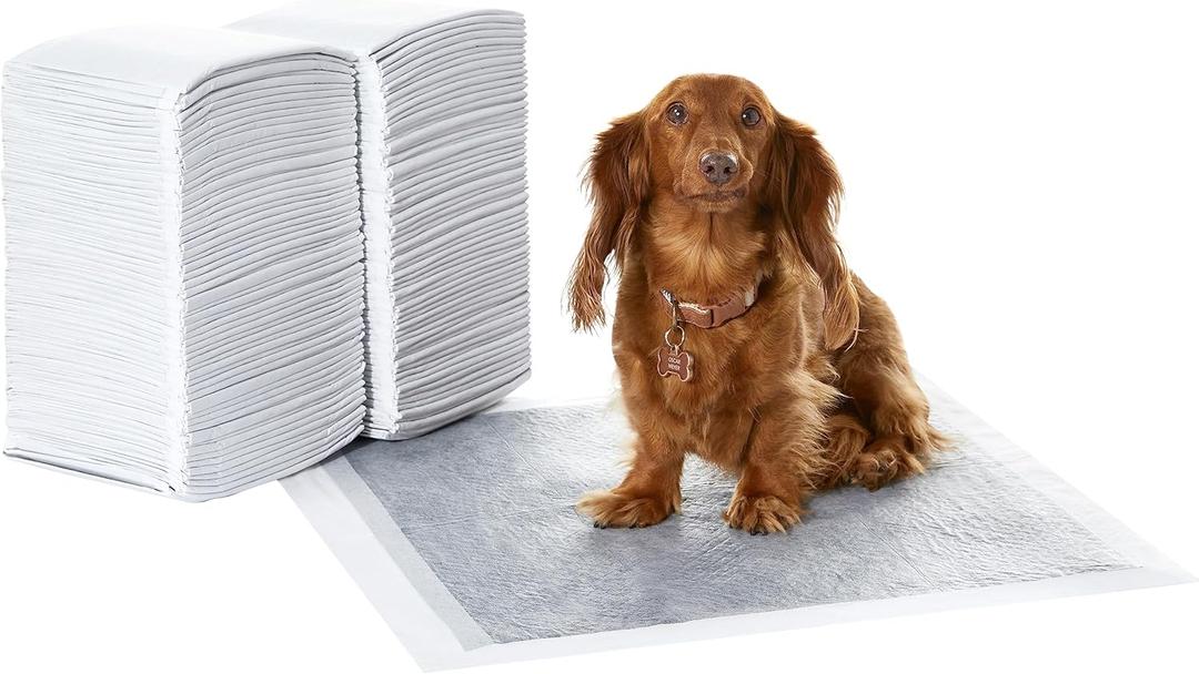 Amazon Basics Dog and Puppy Pee Pads with 5-Layer Leak-Proof Design and Super Absorbent Surface for Potty Training, Odor-Control Carbon, Regular Size, 22 x 22 Inch - Pack of 120, Gray (Regular (120 Count))
