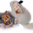 Cute rabbit 12 inch Chinchilla Plush Toy Stuffed Animal Toy Plush Animal Doll (Gray + White)