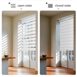Cordless Zebra Blinds for Windows Pull Down Roller Window Shades Dual Layer Light Filtering Privacy for Day and Night, Free-Stop Door Shades for Home Easy to Install (34" W X 72" H, White)
