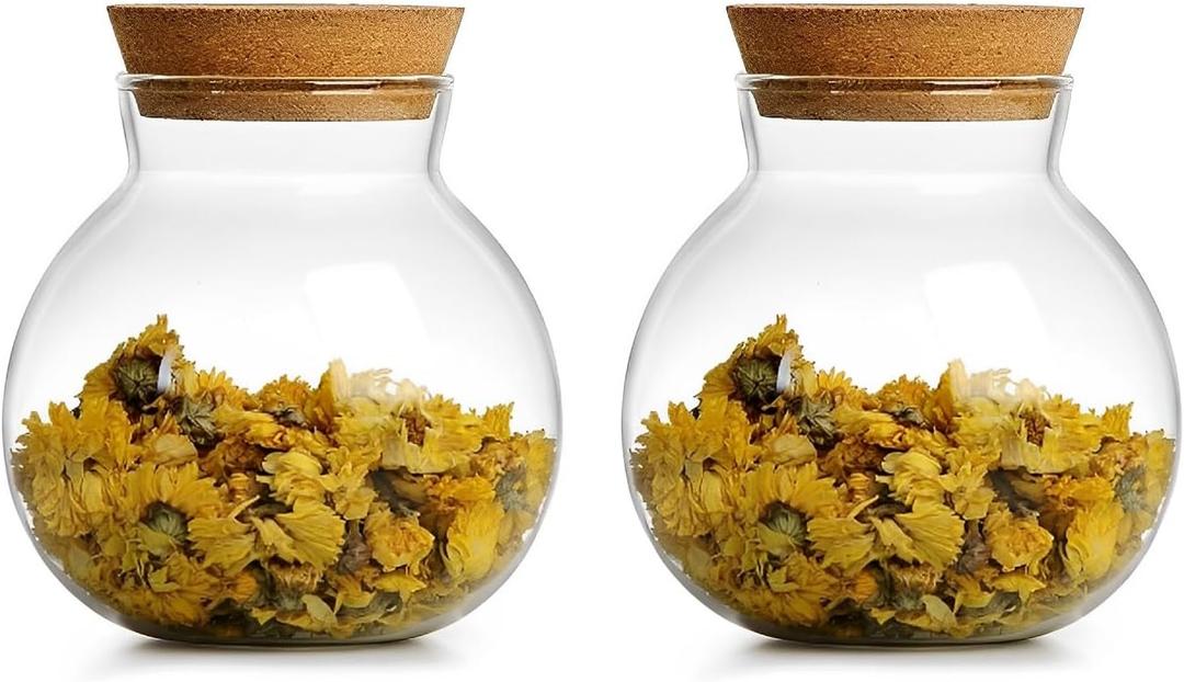 17oz Spherical Glass Jar with Cork Lid Airtight - Kitchen Glass Jar for Preserving and Storing candy, tea, Coffee, Spice, flour, Beans etc (2)