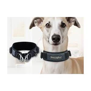 AnccoPlus Comfort Walking Dog Collar Size L Color Grey