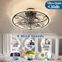 Retro Black Ceiling Fan with Lights Remote Control, 6 Speeds 3 Color Industrial Caged Ceiling Fan with Light for Kitchen Bedroom Living Room