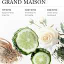 Grand Maison Hotel Diffuser Oil 100ml, 3.38 oz Aroma Oil, Scent Inspired by World’s Most Prestigious Grand Hotels, Aromatherapy Refill Fragrance for Waterless Cold Air Diffusers, Home, Office