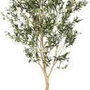 Realead 8ft Tall Faux Olive Tree - Realistic Large Olive Trees Artificial Indoor - Fake Olive Tree with Natural Trunk and Lifelike Leaves for Morden Home Office Decor