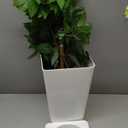 5ft Ficus Artificial Tree with 3 Natural Curved Trunks, 60" Tall Lush Faux Tree for Home Decor Indoor, Green Lifelike Fake Ficus Tree with White Planter Pot