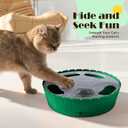 Pawaboo Interactive Cat Toy with Running Mouse, Electronic Motion Cat Toy Automatic Teaser for Indoor Cats, Pop and Play Hide Seek Cat Toys Hunting Mouse for Pet Cat Kitten Play Fun Exercise, Green