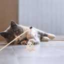 Halloween Cat Toy Set 2-Pack Plush Ghost and Skull Interactive Teething Toys for Indoor Cats Soft Wear-Resistant Playthings to Relieve Anxiety