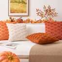 Kevin Textile Fall Pumpkins Pillow Covers 18x18 Inch Set of 2 Cute Autumn Decorative Square Pillowcases Soft Faux Fur Cushions Harvest Gift for Couch Sofa Chair Bedroom Home Decor, Orange