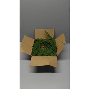 2 Pcs Christmas Garland with Lights 6 Ft, Real Touch Norfolk Pine Garland for Mantle, Christmas Decorations Indoor Outdoor for Wall Fireplace, Faux Greenery Cedar Garland Realistic for Table Decor